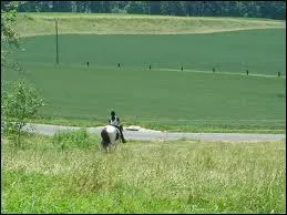 Dans une descente plut�t raide, il faut ...