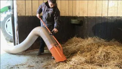 Quand doit-on curer le box ?