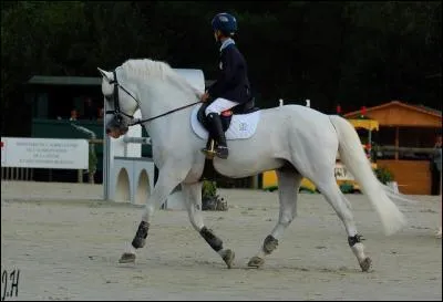 Pourquoi doit-on changer de bip�de au trot enlev� ?