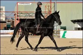 Le pas est une allure � ...