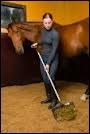 Quiz Galop 3