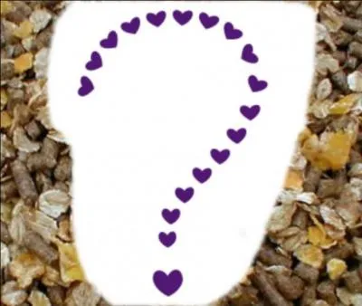 Que mangent les chevaux ?