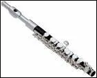 Comment s'appelle cet instrument voisin de la flûte ?