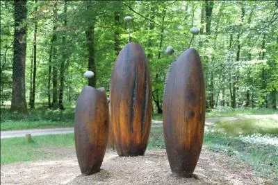 Cette fort de France est rpute pour ses chnes dont on fait, notamment, des tonneaux. Il s'agit de la fort :