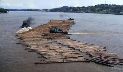 Cette pice de bois, encore non quarrie, qui flotte avec d'autres sur un fleuve, porte le nom de :
