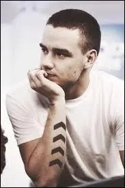 De quel(s) instrument(s) joue Liam ?