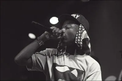 Vrai Ou Faux ? Le vrai nom de Joey Badass est Joe Budden ?