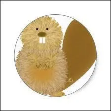 Que vous inspire le Père Castor ?