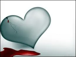 Dans quel ordre sont distribus les aliments pour le repas du cheval ?