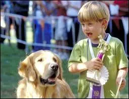 C'est l't  Fernfield. Andra, 13 ans, est dprime car sa meilleure amie dmnage en Californie. Buddy, son chien va l'aider pour qu'elle puisse la revoir ...