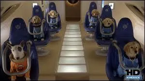 Rosabelle, B-dawg, Bouddha, Craspout et Patapouf montent dans une navette qui a comme destination la Lune. Ils vont devoir affronter beaucoup de dangers avant de retourner chez eux ...