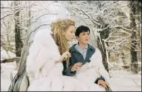 Alors qu'ils jouaient  cache-cache dans la maison d'un vieux professeur, quatre enfants s'aventurent dans une armoire mais ils sont loin d'imaginer qu'elle va les entraner dans un monde appel, Narnia. Le jeune Edmund va faire la rencontre de La Sorcire Blanche.