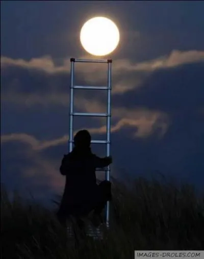 Qui a chant  J'ai demand  la lune  ?
