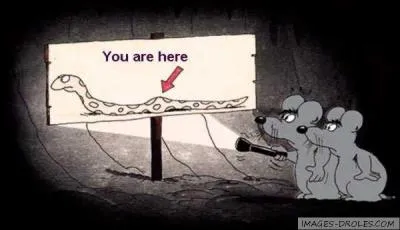 Quel est le cri du rat ?