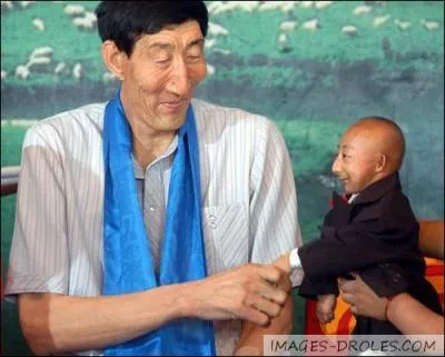 Quelle est la taille moyenne d'un bb  la naissance ?