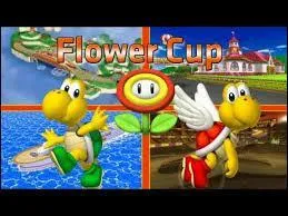 Quel est l'objet sp�cial de Koopa et Paratroopa ?