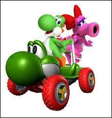 Quel est l'objet sp�cial de Yoshi et Birdo ?
