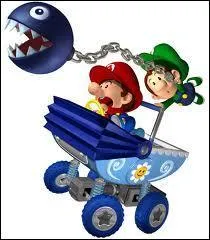 Quel est l'objet sp�cial de b�b� Mario et b�b� Luigi ?