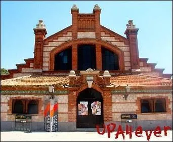 Que voit-on sur cette image ?