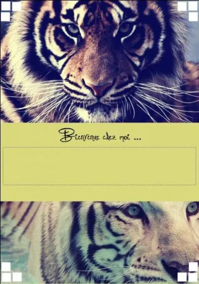 Le tigre en bas est de quelle couleur ? (  l'origine ? )