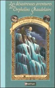 Quel est le titre de ce livre ?