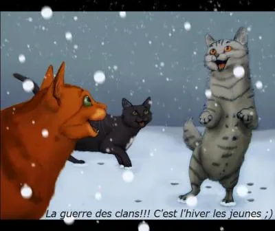 Quel est l'unique tome dans lequel on peut voir cette scne et qui peuvent bien tre ces trois chats ?