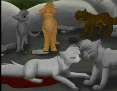 Pendant la scne de la mort de Rivire d'Argent, combien y a-t-il de chats prsents au total ?