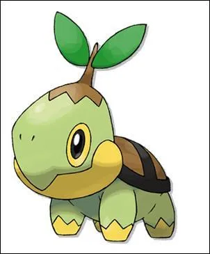 Comment s'appelle ce pokmon?