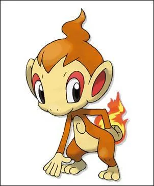 Comment s'appelle ce pokmon?