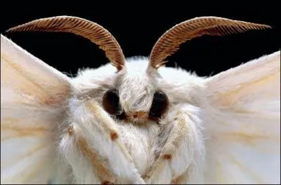 D'aprs la photo, trouvez l'expression !