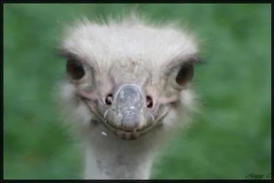 Quelque fois, on peut y tre oblig !