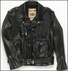 Dans quelle chanson Renaud voulait-il chouraver un blouson ? ?