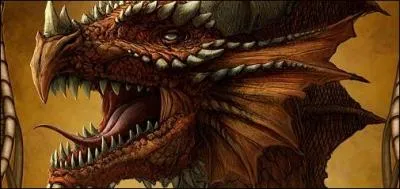 Lors de la premire tche du Tournoi des trois Sorciers,  qui est attribu le boutefeu chinois ?