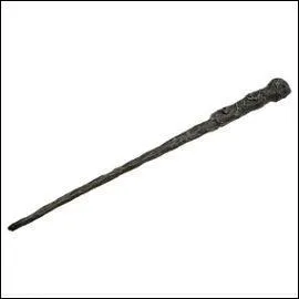 On peut comparer quelqu'un sous l'emprise du sortilge de l'imperium  ...