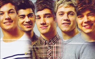 Qui n'est pas dans le groupe One Direction... (intrus) ?