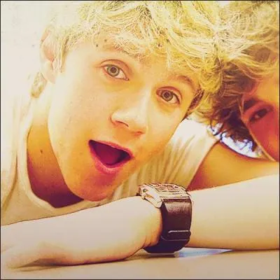 Dans quelle srie joue Niall ?