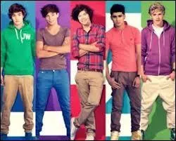 Comment le groupe One Direction se sont-ils recontrs ?
