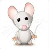 Il habite avec la seule compagnie d'un rat.