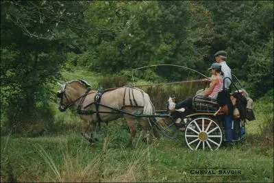 Quel est ce sport questre ?