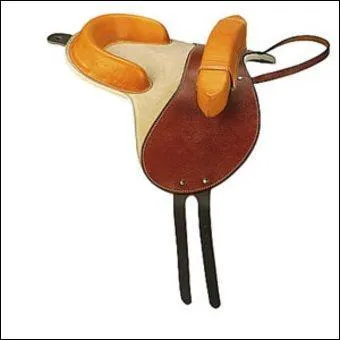 Maintenant nous allons voir les selles. Comment s'appelle cette selle ?