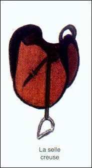 Comment s'appelle celle-ci ?