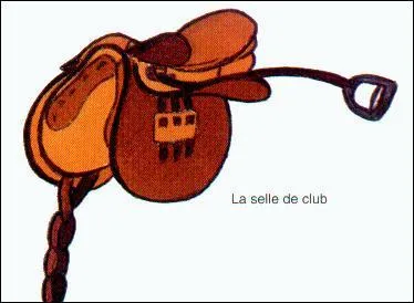 Sauriez-vous indiquer quelle est cette selle ?