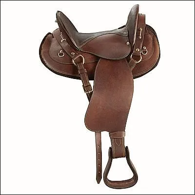 Sauriez-vous indiquer quelle est celle-ci ?