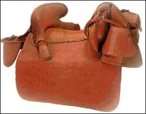 Sauriez-vous indiquer quelle est celle-l ?