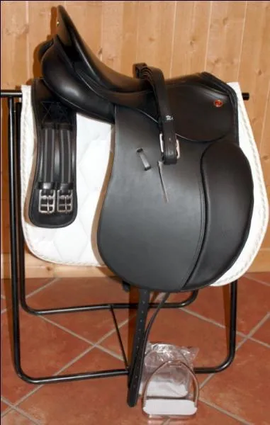 Comment se nomme celle-ci ?