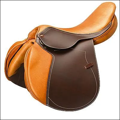 Comment se nomme celle-l ?