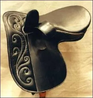 Connaissez-vous cette selle ?