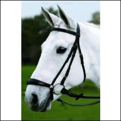 Comment s'appelle celle-l ?