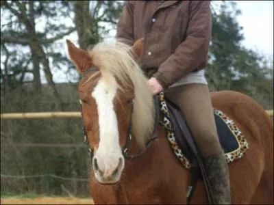 Et enfin, quelle est celle-ci ?