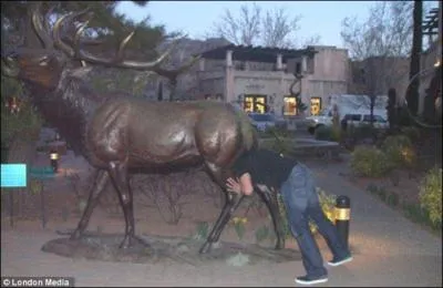 Trouvez l'expression correspondante !